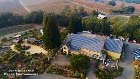 Three Sonoma County Wineries in California Fermenting a Greener Future Image